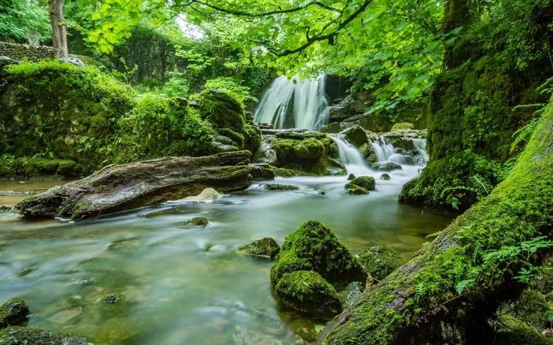 创意高端
